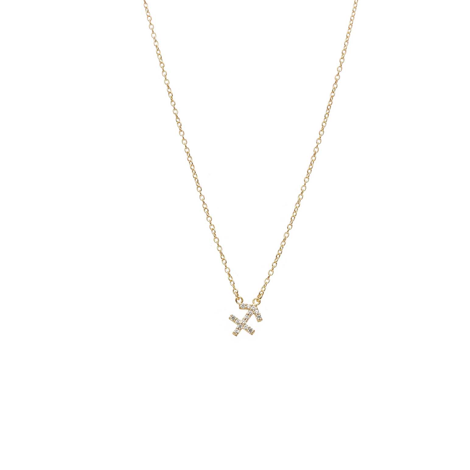 Silk & Steel Sagittarius Necklace